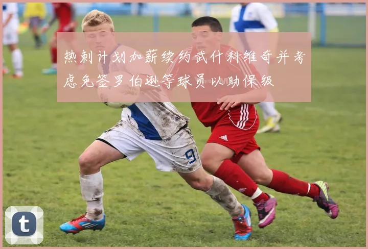 热刺计划加薪续约武什科维奇并考虑免签罗伯逊等球员以助保级