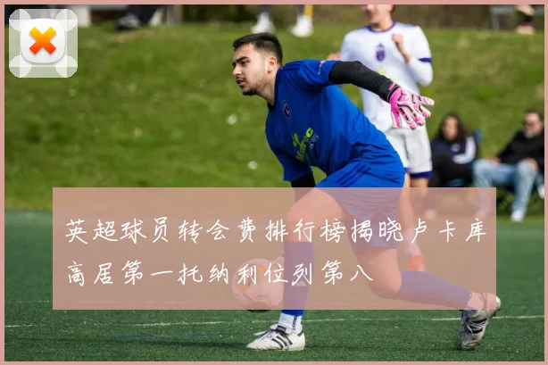 英超球员转会费排行榜揭晓卢卡库高居第一托纳利位列第八